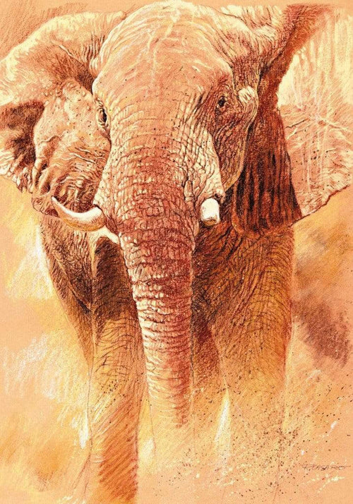 Renato Casaro Elefant Study Kunstdruck 70x100cm | Yourdecoration.de