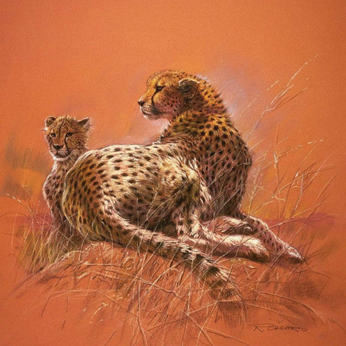 Renato Casaro Cheetah Mother Kunstdruck 50x50cm | Yourdecoration.de