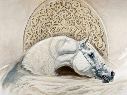 Renato Casaro Arabian Pride Kunstdruck 80x60cm | Yourdecoration.de