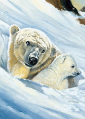 Renato Casaro Eisbär Mama Kunstdruck 50x70cm | Yourdecoration.de