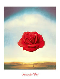 Salvador Dali Rose meditative Kunstdruck 60x80cm | Yourdecoration.de