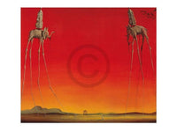 Salvador Dali Les Elephants Kunstdruck 80x60cm | Yourdecoration.de
