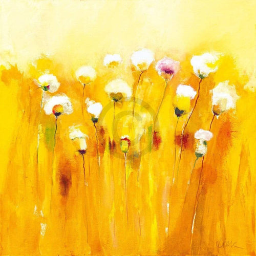 Anne L. Strunk Summerfields I Kunstdruck 70x70cm | Yourdecoration.de