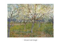 Vincent Van Gogh The Orchard Kunstdruck 70x50cm | Yourdecoration.de