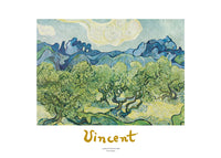 Vincent Van Gogh Landscapes with olive trees Kunstdruck 70x50cm | Yourdecoration.de