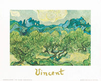 Vincent Van Gogh Landscapes with olive trees Kunstdruck 30x24cm | Yourdecoration.de