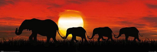 Pyramid Sunset Elephants Poster 91,5x30,5cm | Yourdecoration.de
