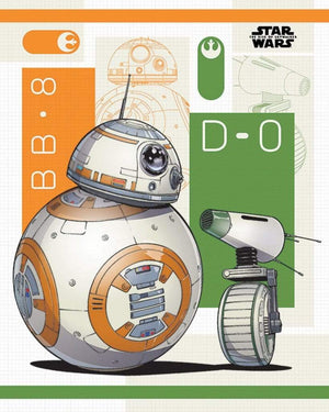 Pyramid Star Wars The Rise of Skywalker BB 8 and D 0 Poster 40x50cm | Yourdecoration.de