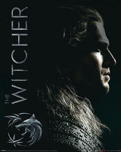 Pyramid The Witcher Shadows Embrace Poster 40X50cm | Yourdecoration.de