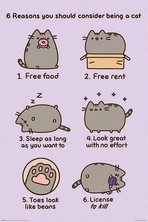 Pyramid Pusheen Reasons to be a Cat Poster 61x91,5cm | Yourdecoration.de
