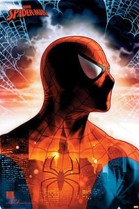 Pyramid Spider Man Protector of the City Poster 61x91,5cm | Yourdecoration.de