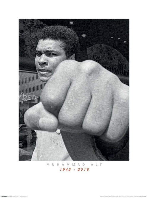 Pyramid Muhammad Ali Commemorative Punch Kunstdruck 60x80cm | Yourdecoration.de