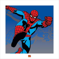 Pyramid Spider Man Marvel Kunstdruck 40x40cm | Yourdecoration.de