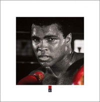 Pyramid Muhammad Ali Boxing Gloves Kunstdruck 40x40cm | Yourdecoration.de