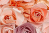 00147 close up Flowers 2e0f7528 d5ea 454a bd60 a18e322a6dbf | Yourdecoration.de