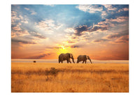Artgeist Afrikaanse Savanne Olifanten Vlies Fototapete | Yourdecoration.de