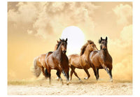 Artgeist Running Paarden Vlies Fototapete | Yourdecoration.de