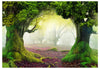Fototapete - Enchanted Forest - Vliestapete