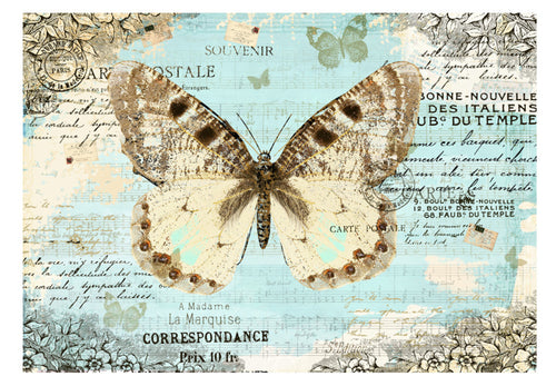 Fototapete - Postcard with Butterfly - Vliestapete