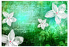 Fototapete - Floral Notes Iii - Vliestapete