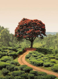 Wizard+Genius Red Tree And Hills In Sri Lanka Vlies Fototapete 192x260cm 4 bahnen | Yourdecoration.de