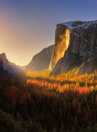 Wizard+Genius Yosemite National Park Usa Vlies Fototapete 192x260cm 4 bahnen | Yourdecoration.de