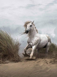 Wizard+Genius White Wild Horse Vlies Fototapete 192x260cm 4 bahnen | Yourdecoration.de