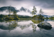 Wizard+Genius Foggy Day Vlies Fototapete 384x260cm 8 bahnen | Yourdecoration.de