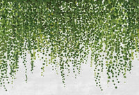 Wizard+Genius Hanging Plants Vlies Fototapete 384x260cm 8 bahnen | Yourdecoration.de