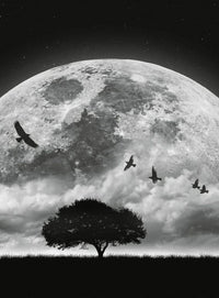 Wizard+Genius Moon and Birds Vlies Fototapete 192x260cm 4 bahnen | Yourdecoration.de