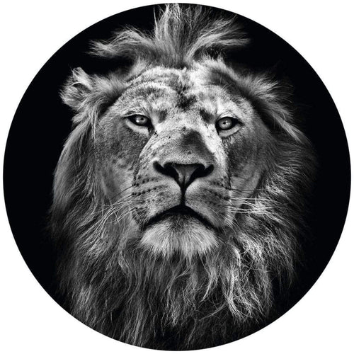 Wizard+Genius Lion Vlies Fototapete 140x140cm rund | Yourdecoration.de