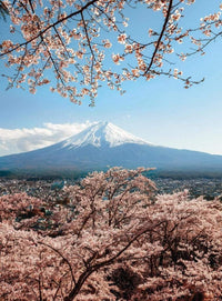 Wizard+Genius Mount Fuji in Japan Vlies Fototapete 192x260cm 4 bahnen | Yourdecoration.de