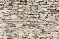 Wizard+Genius Stone Wall II Vlies Fototapete 384x260cm 8 bahnen | Yourdecoration.de