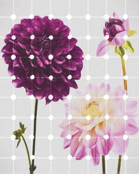 Komar Flowers and Dots Vlies Fototapete 200x250cm 2 bahnen | Yourdecoration.de