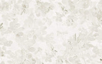 Komar Sheer Grey Vlies Fototapete 400x250cm 4 bahnen | Yourdecoration.de