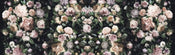 Komar Victoria Black Vlies Fototapete 800x250cm 8 bahnen | Yourdecoration.de