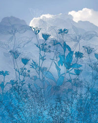 Komar Blue Sky Vlies Fototapete 200x250cm 2 bahnen | Yourdecoration.de