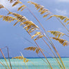 Komar Ocean Breeze Fototapete 368x254cm | Yourdecoration.de