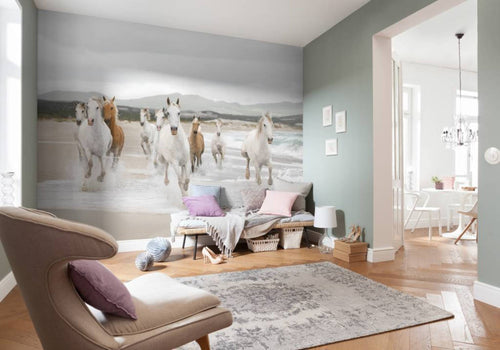 Komar White Horses Fototapete 368x254cm | Yourdecoration.de
