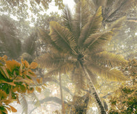 Komar Palms Panorama Vlies Fototapete 300x250cm 3 bahnen | Yourdecoration.at