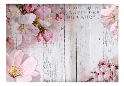 Fototapete - Apple Blossoms - Vliestapete