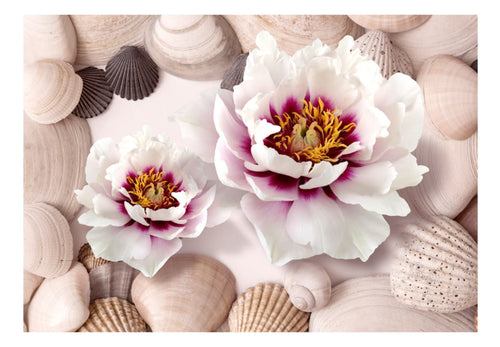 Fototapete - Flowers and Shells - Vliestapete