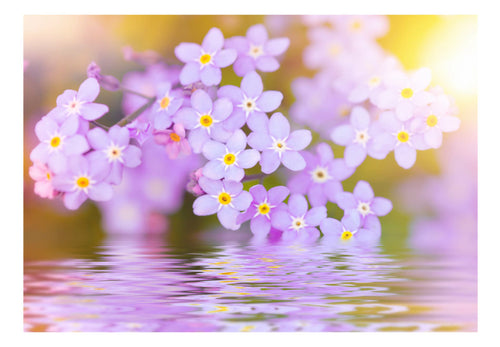 Fototapete - Violet Petals in Bloom - Vliestapete