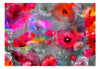 Fototapete - Painted Poppies - Vliestapete