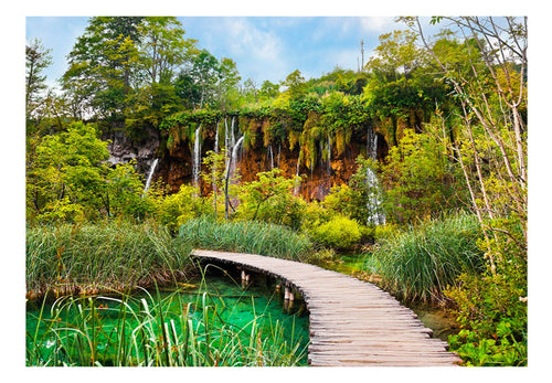 Fototapete - Green Oasis - Vliestapete