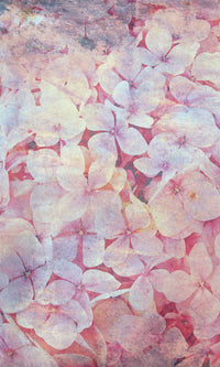 Dimex Apple Tree Abstract I Fototapete 150x250cm 2 bahnen | Yourdecoration.de