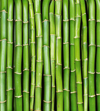 Dimex Bamboo Fototapete 225x250cm 3 Bahnen | Yourdecoration.de