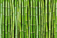 Dimex Bamboo Fototapete 375x250cm 5 Bahnen | Yourdecoration.de