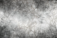 Dimex Branch Abstract Fototapete 375x250cm 5 bahnen | Yourdecoration.de
