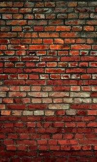 Dimex Brick Wall Fototapete 150x250cm 2 Bahnen | Yourdecoration.de